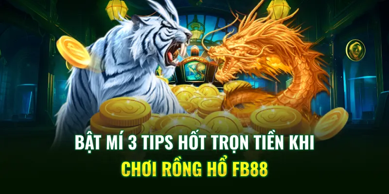 Bật mí 3 tips hốt trọn tiền khi chơi Rồng Hổ FB88