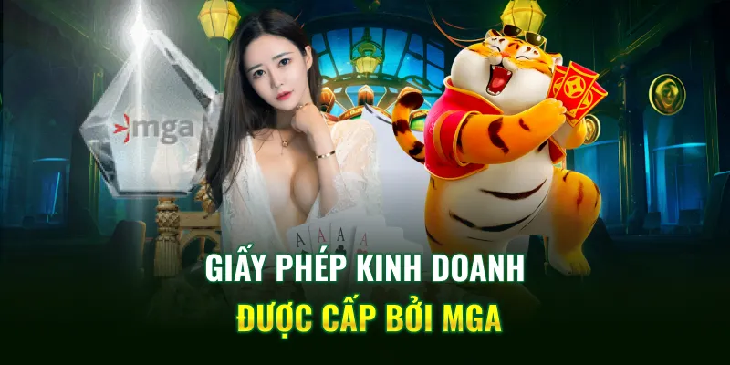 Giấy phép kinh doanh được cấp bởi MGA