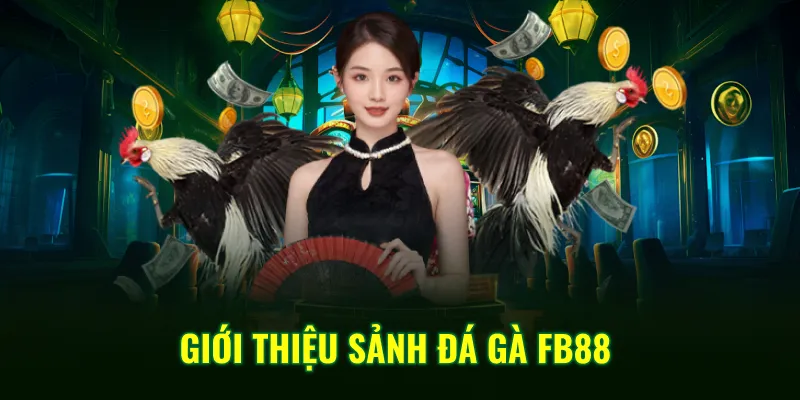 Giới thiệu sảnh đá gà FB88