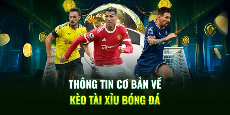 Thông tin cơ bản về kèo tài xỉu bóng đá